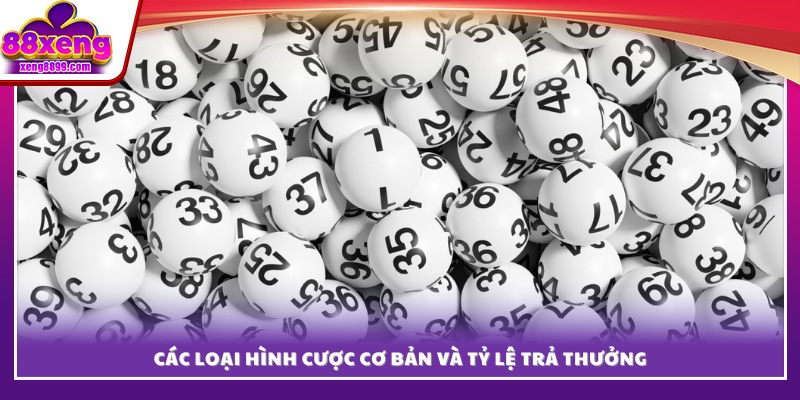 Các hình thức cược phổ biến cùng tỷ lệ thưởng minh bạch